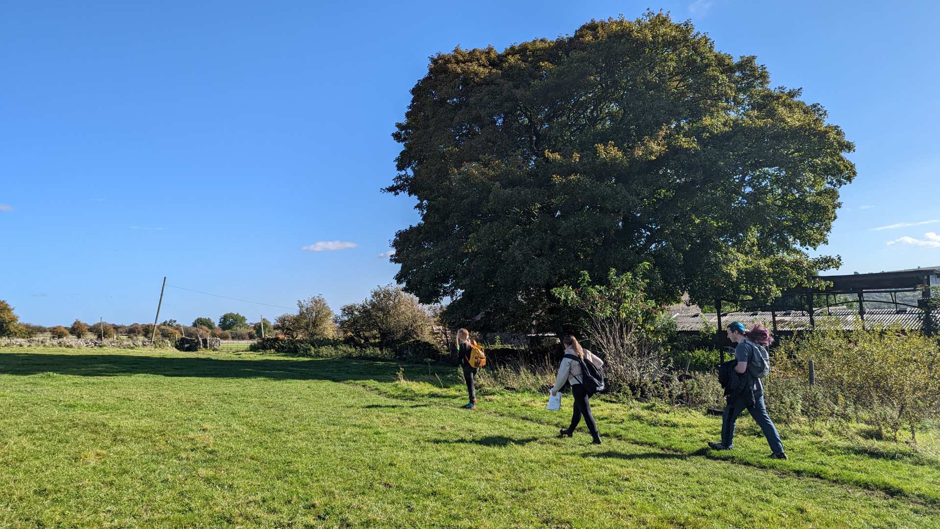 The Contours team trek in stunning sunlight across a green field.