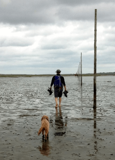 A walker carries her boots as she crosses the causeway at low tide, dog following behind her.