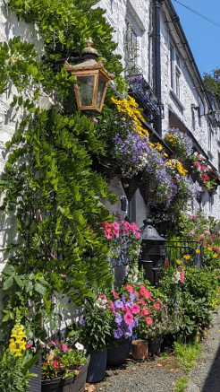 A house decked in vibrant flowers sits on a side street in Machynlleth.